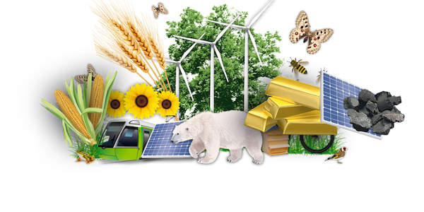 Richesses du monde Lansay